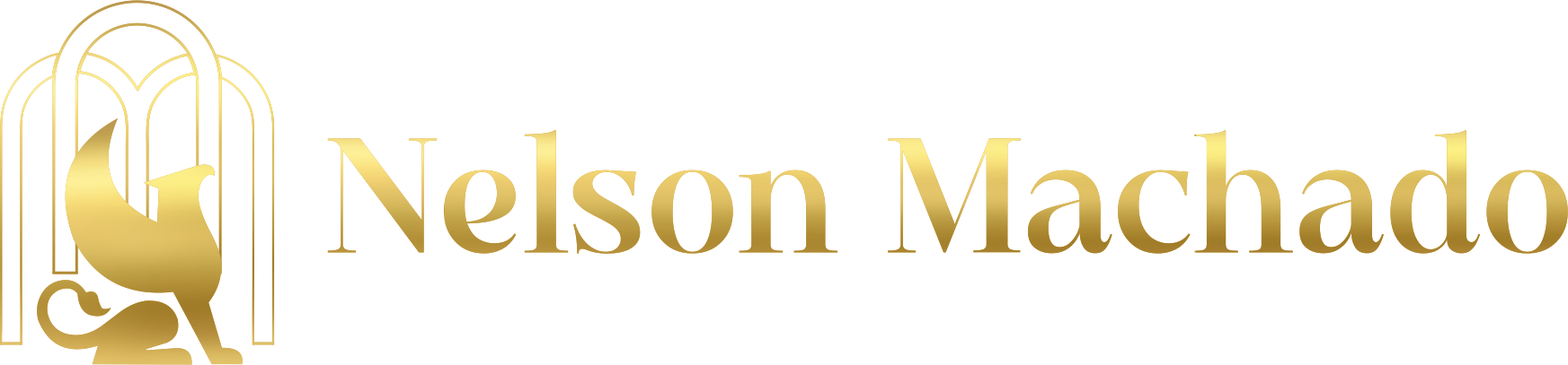Instituto Nelson Machado